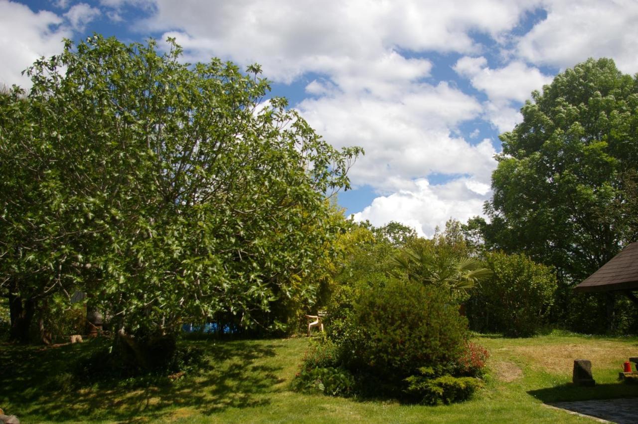 Gîte l'appel de la Forêt Betplan Exterior foto